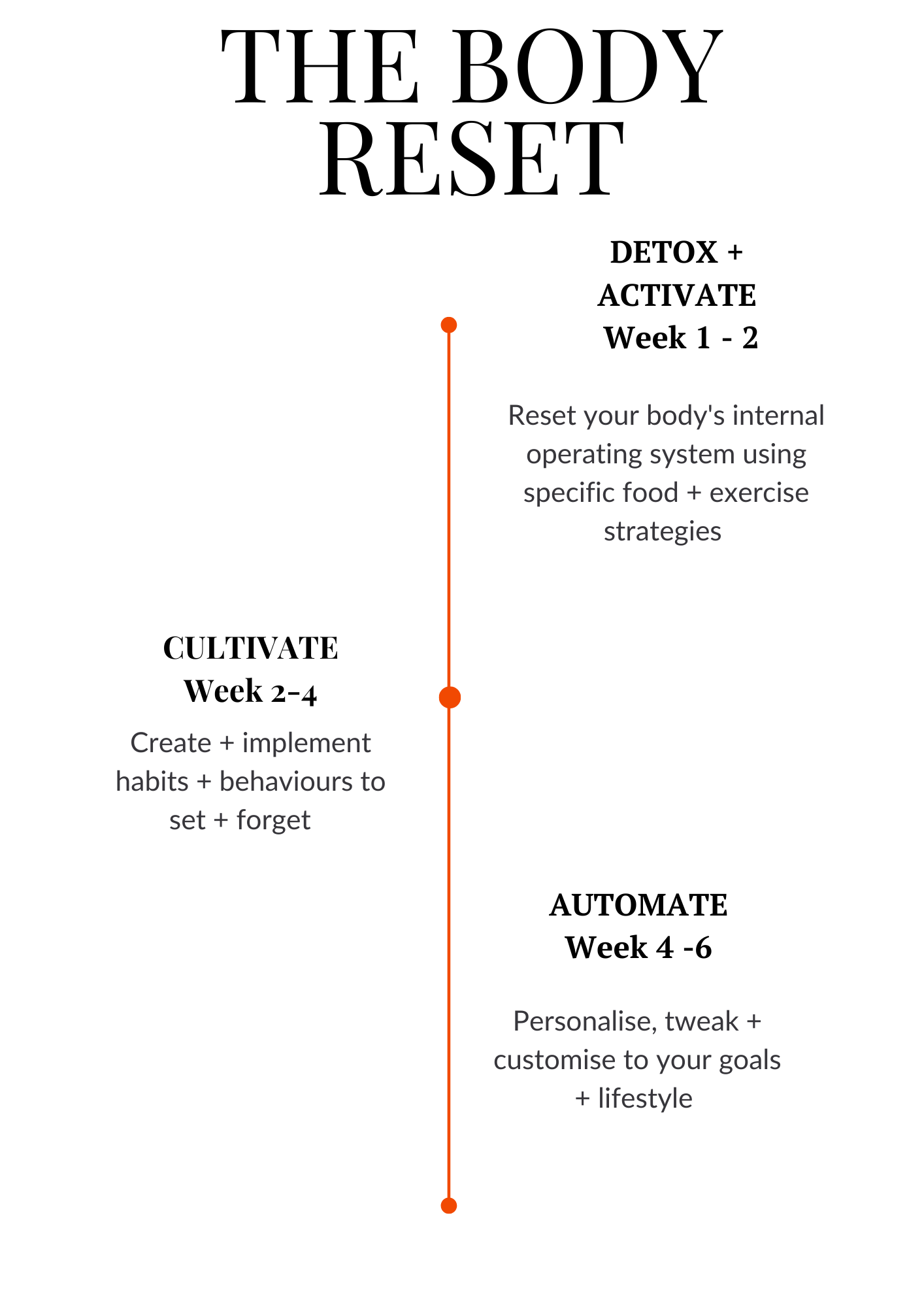 TIMELINES (Website) (A4 (Landscape))-2 the body reset